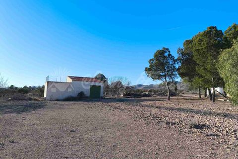Landejendom i Yecla, Murcia, Yecla - € 185.000 | Ref: SF0522 - foto 23